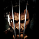 Illustration for article titled Wolverine Is An X-Men Ordeal